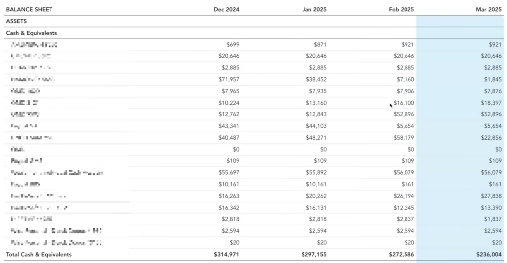 a screenshot of a balance sheet listing assets and cash & equivalents for the months of December 2024 - March 2025